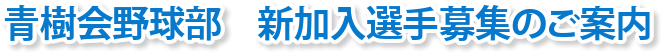 青樹会野球部　新加入選手セレクションのご案内