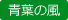 aobanokaze アイコン